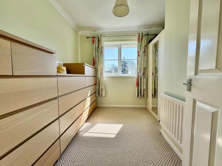 image11