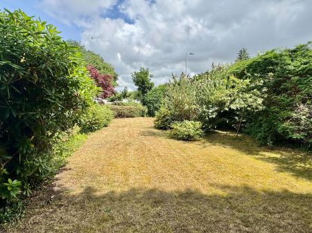 image10