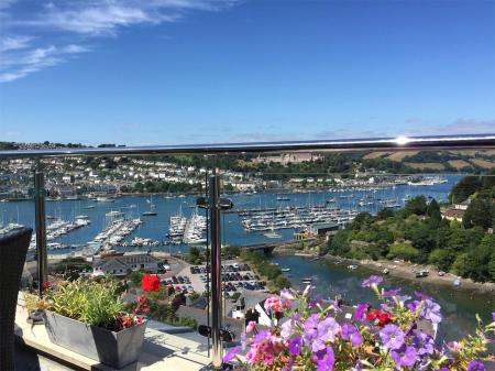 Deck View