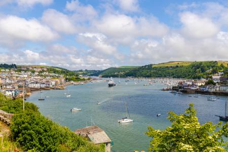 A01 - Dart View Swan