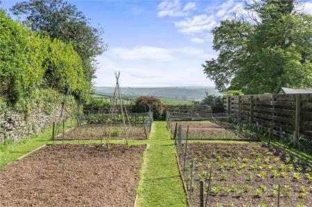 Garden and View