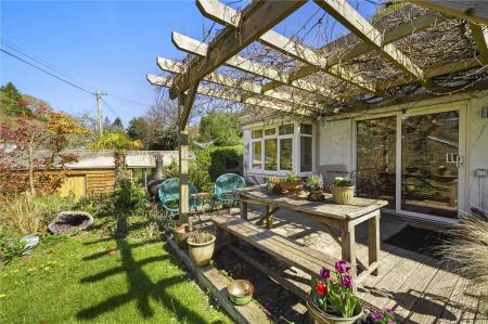 Garden 2