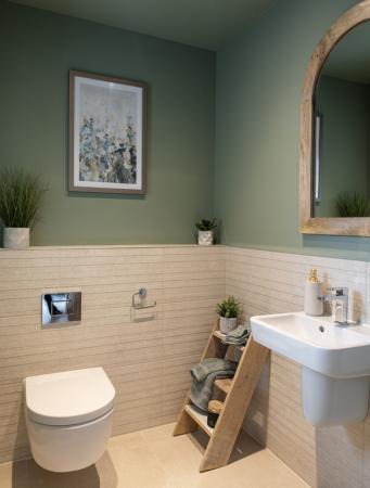 Coln Signature Home