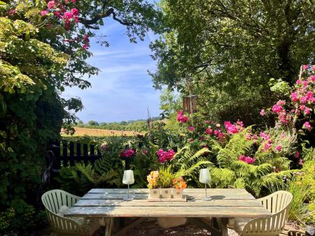 Garden 3