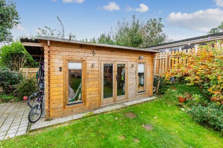 A06 - Bay Tree Cotta