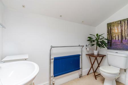 A22 - Bay Tree Cotta