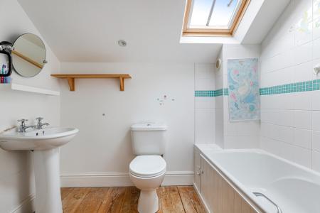 A23 - Bay Tree Cotta