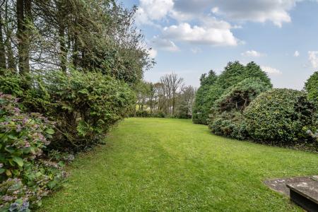 1364816-3-68e90241e8