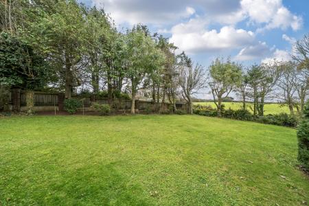 1364816-4-68e903cd4f