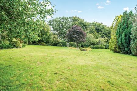 1336620-30-689e01d9d