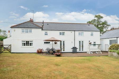 1334569-31-689df1634