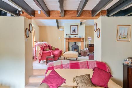 1334569-12-689dd77b8