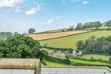 1315970-21-687e10d76