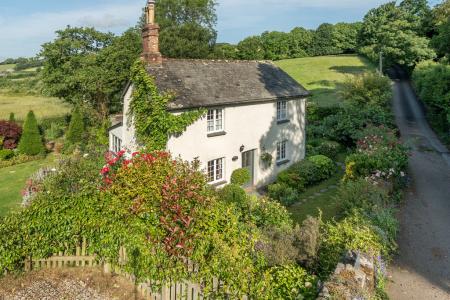 1302537-1-684948d208