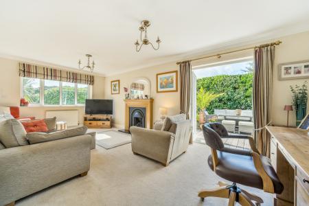 1354464-12-68d3f352d