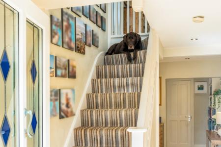 1354464-26-68d3f4ac3