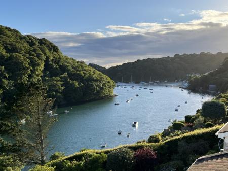 AMG Flat 1 HC harbou