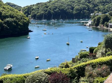 AMG Flat 1 HC harbou