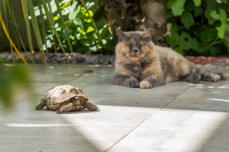 1344036-26-68b1bf07a