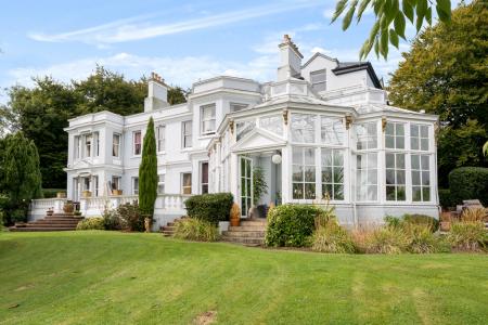 1344036-82-68c28119e