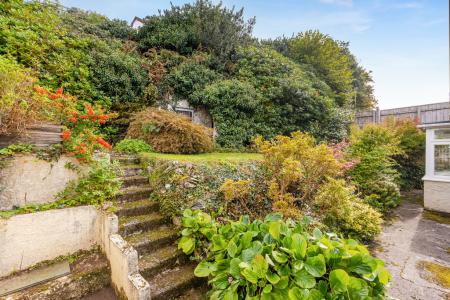 A07 - 5Gomorin, Newt