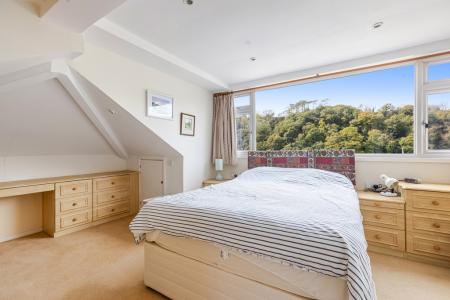 A38 - 5Gomorin, Newt