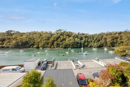 A12 - 5Gomorin, Newt