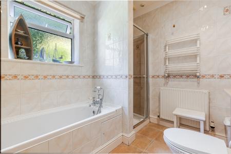 A44 - 5Gomorin, Newt