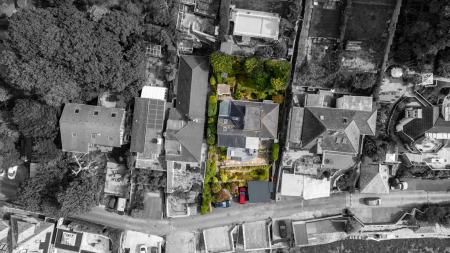 A25 - 5Gomorin, Newt