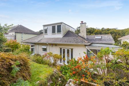 A09 - 5Gomorin, Newt