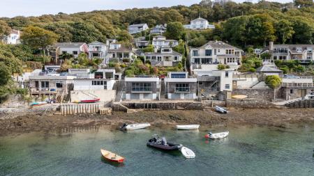 A23 - 5Gomorin, Newt