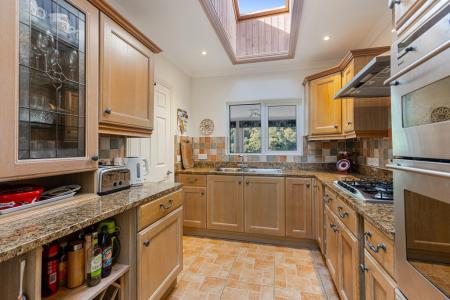 A27 - 5Gomorin, Newt