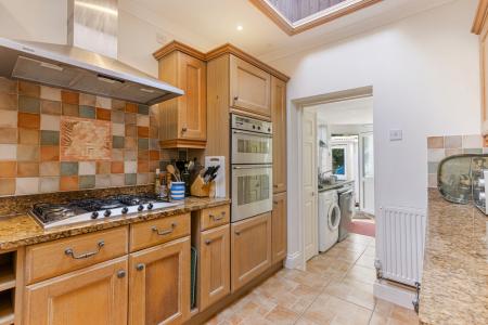 A28 - 5Gomorin, Newt