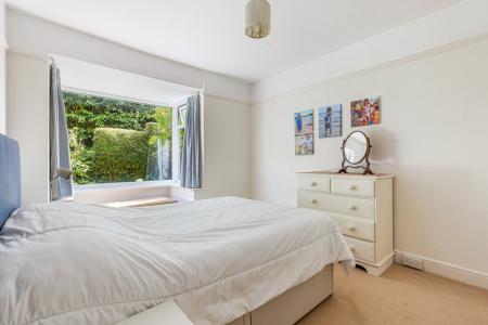 A42 - 5Gomorin, Newt