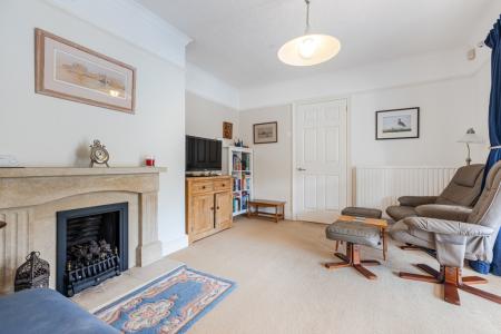 A33 - 5Gomorin, Newt