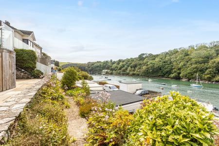 A05 - 5Gomorin, Newt