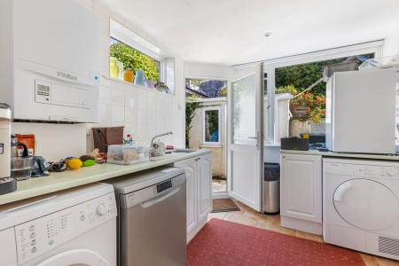 A29 - 5Gomorin, Newt