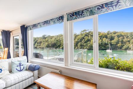 A37 - 5Gomorin, Newt