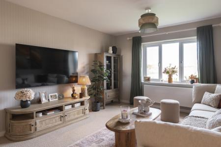 Collaton Park by Pet