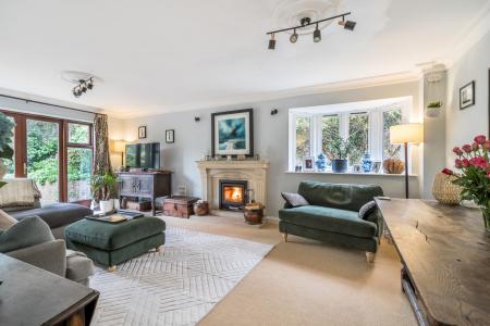 1373454-12-69023cfc1