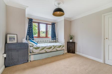 1373454-41-69023d536