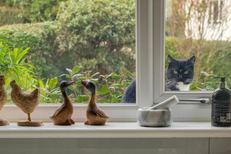 1384828-20-6929cedd5