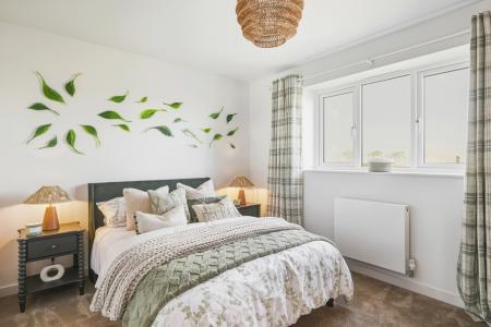 Collaton Park by Pet