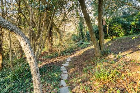 1386050-6-693d26e023