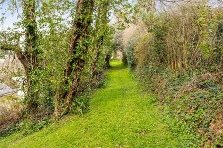 Woodland