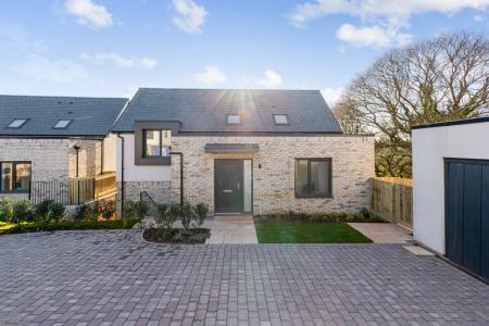 A02 - 5 Blackthorn W