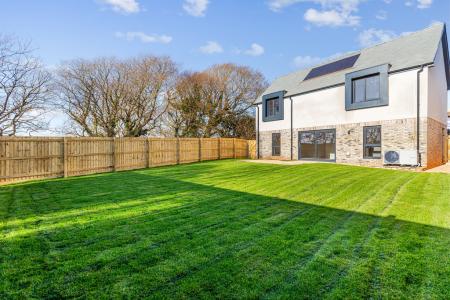 A04 - 5 Blackthorn W