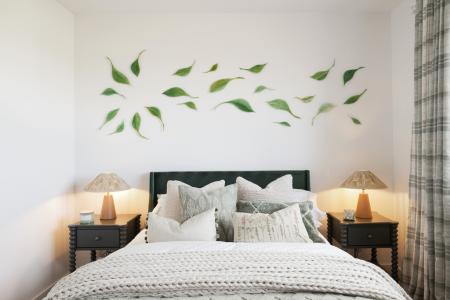 Collaton Park by Pet