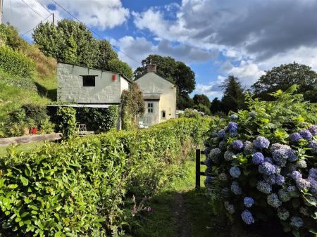 Cottage from lane.jpg