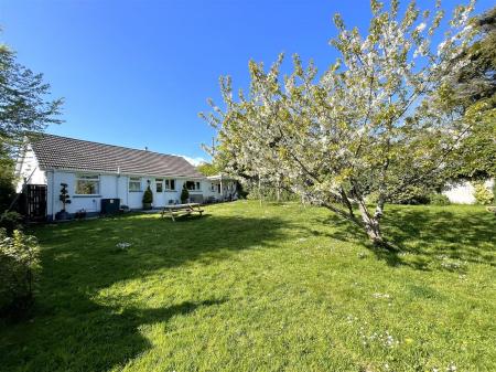 rear garden.jpg